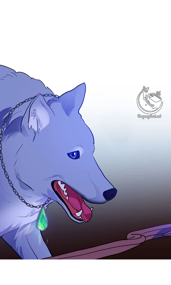 elizabeth chapter 42.2 4