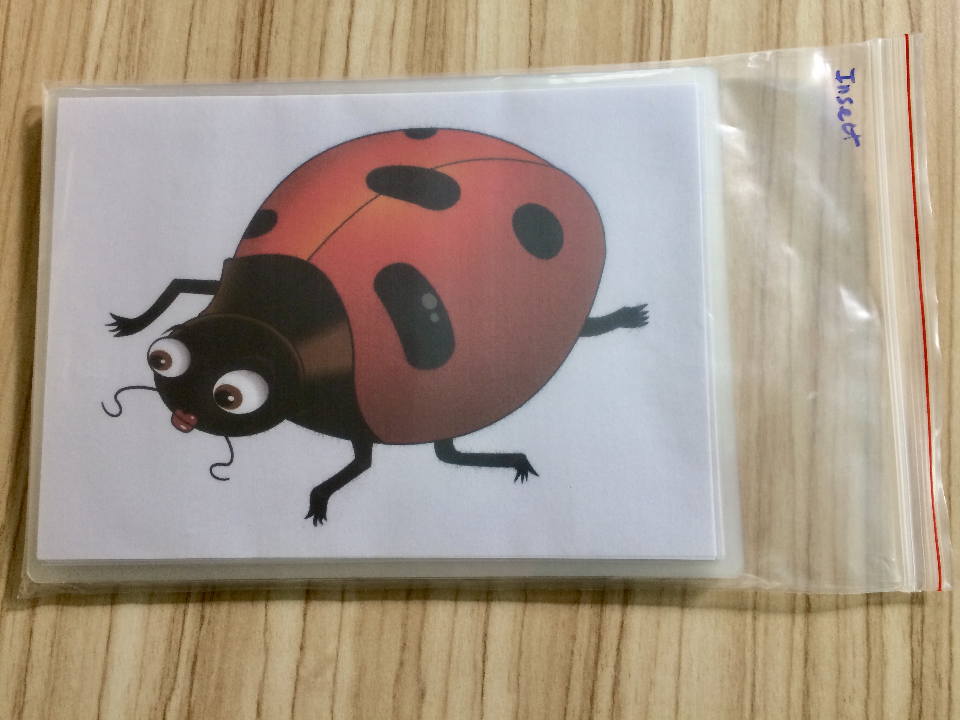 Animal Flashcards: Insect and Reptile - Thẻ học tiếng Anh chủ đề Động vật: Côn trùng và bò sát - 20 cards