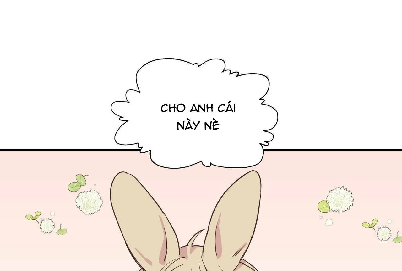 không chốn yêu đương chapter 67.5 31