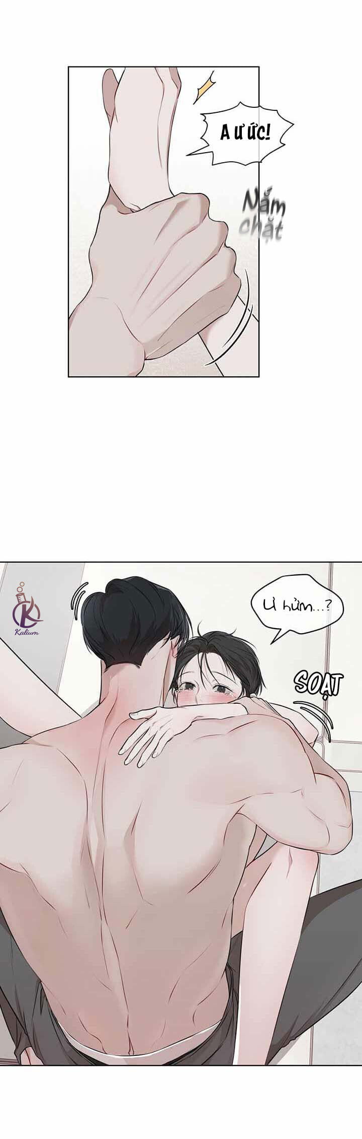 hình thái khởi sinh chapter 23 12