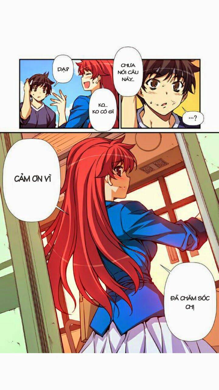 modify chapter 31 11