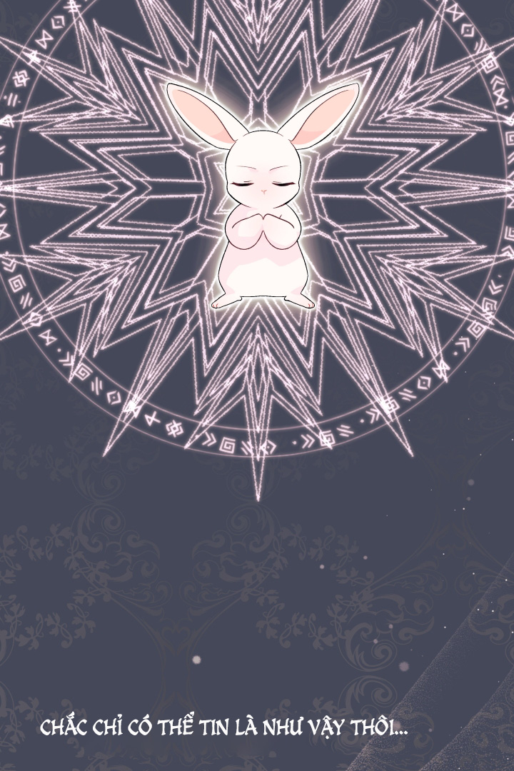 mối liên kết giữa báo đen và bé thỏ chapter 41.1 56