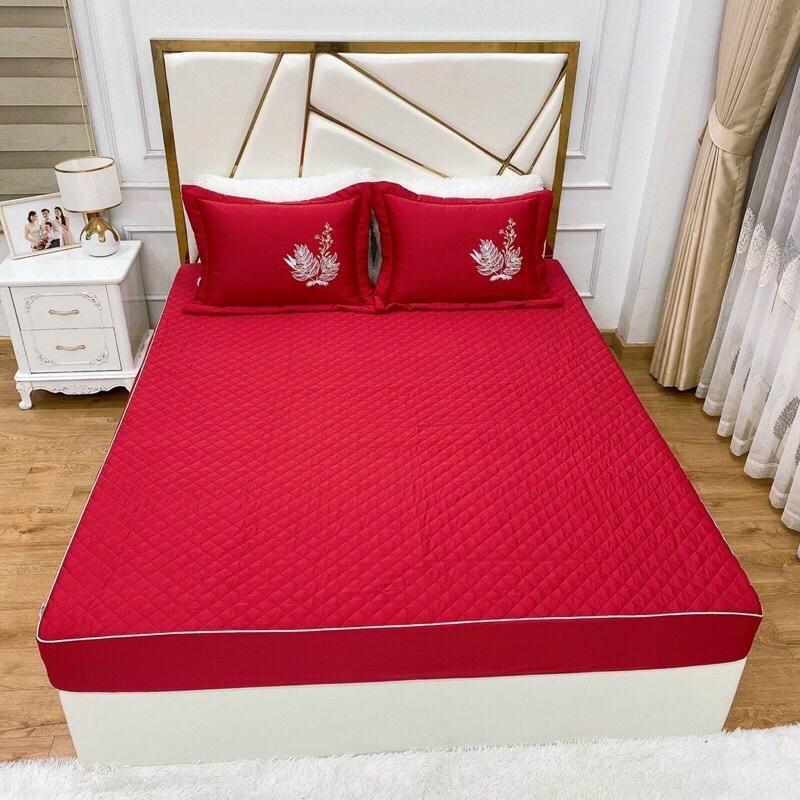 Bộ chăn ga gối trần bông làm phòng cưới siêu xinh