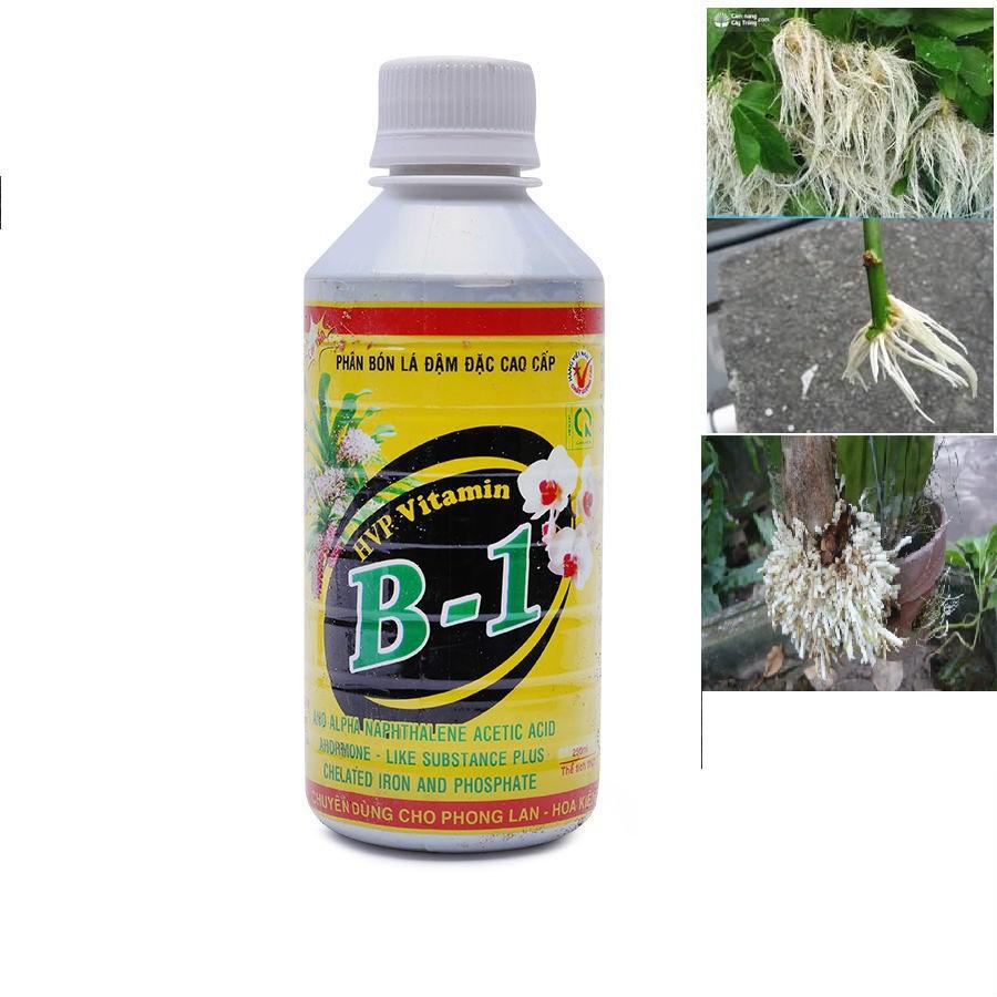Bộ 5 Phân bón đậm đặc HPV Vitamin B1 cho Phong Lan 250ml - Tăng cường mạnh bộ rễ, nâng cao sức đề kháng với cây