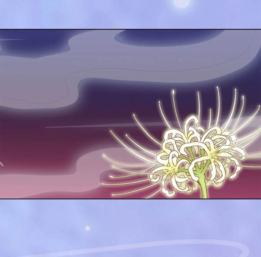 mỹ nhân già rồi chapter 66 20