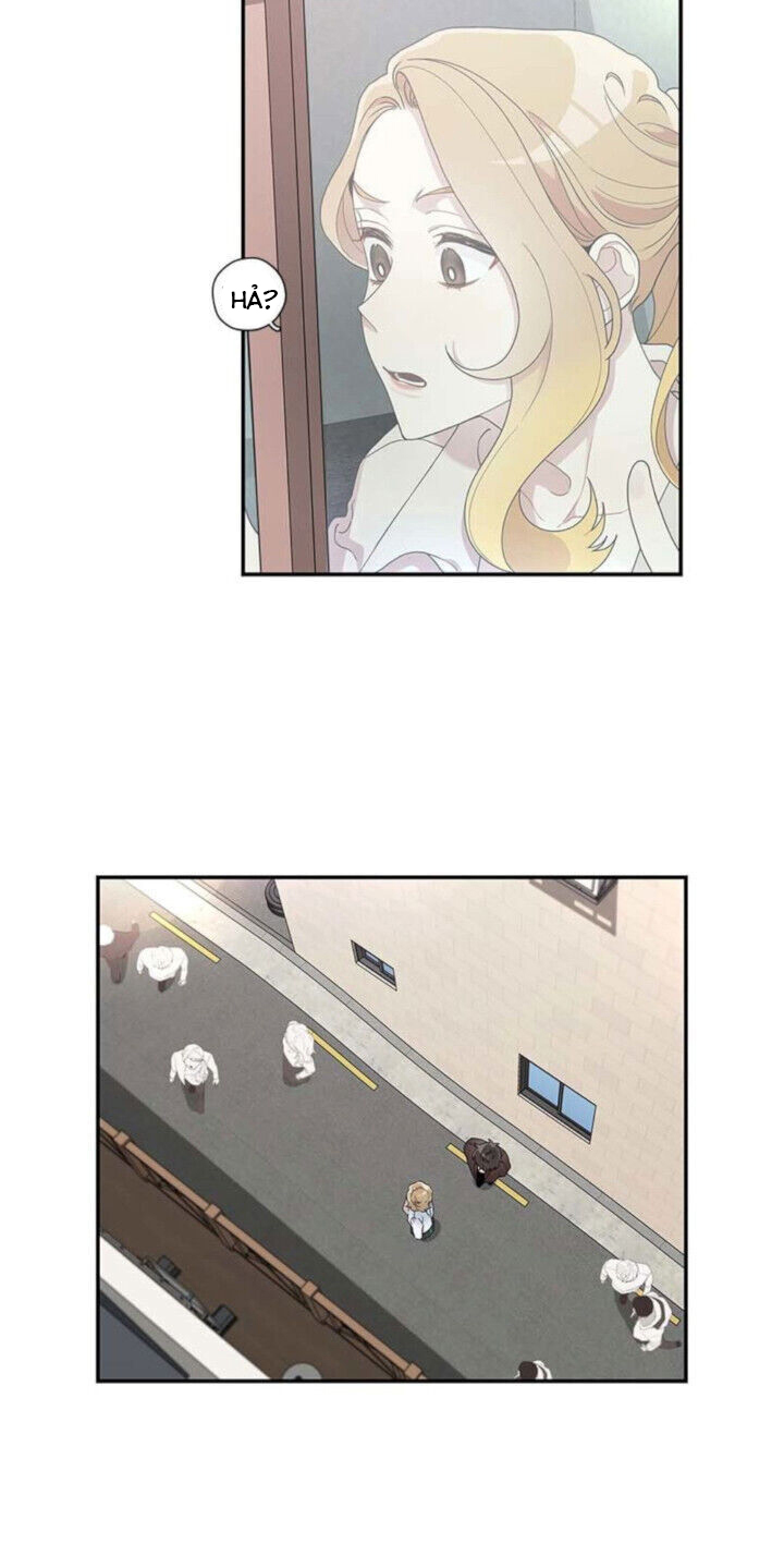 thanh xuân lầm lỡ chapter 35 5