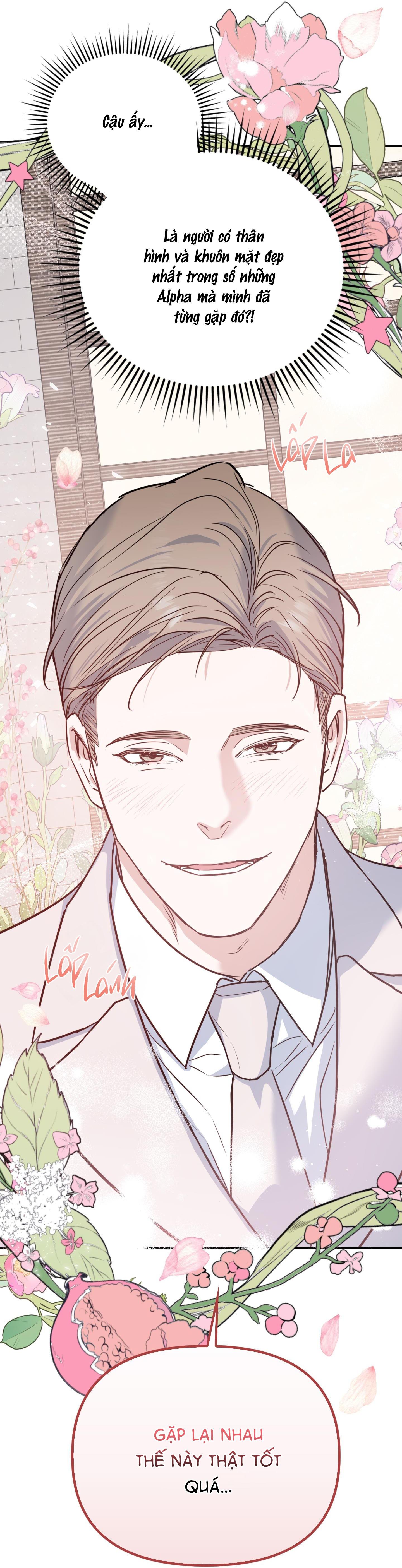 alpha mặt hàng không thể trả chapter 1 36