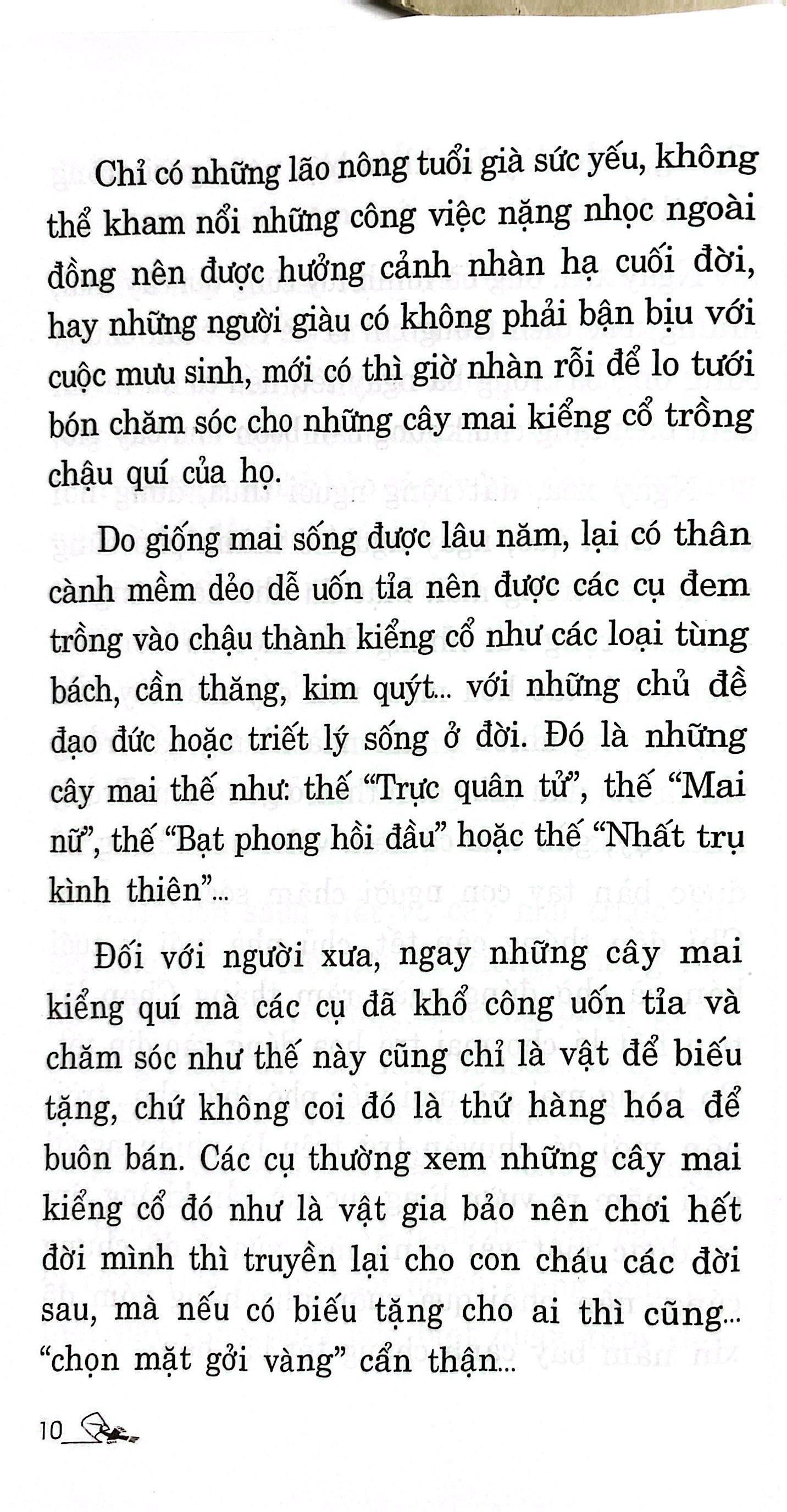 Sách - Trồng Mai - Kỹ Thuật Bón Tưới Phòng Trừ Sâu Rầy, Bệnh Hại (Tái Bản 2025)