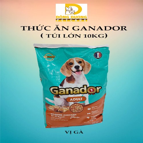 [Giá sốc - Tặng kèm gói thức ăn hạt 400gr] Thức ăn cho chó trưởng thành Ganador vị gà nướng bao 10kg