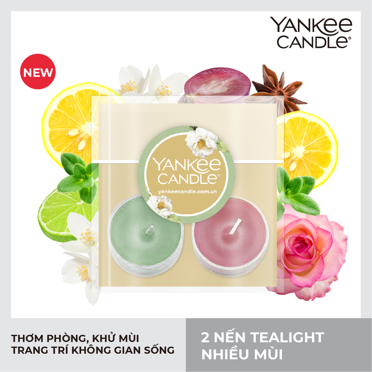 Hộp 2 Nến Tealight Yankee Candle nhiều mùi