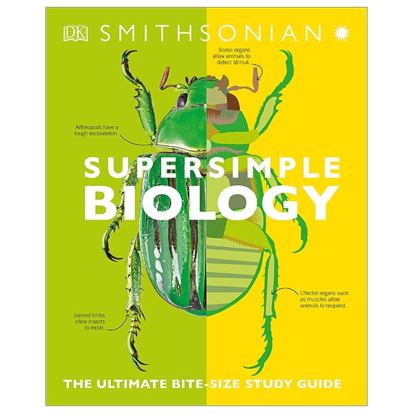 Biology: The Ultimate Bitesize Study Guide (Supersimple)