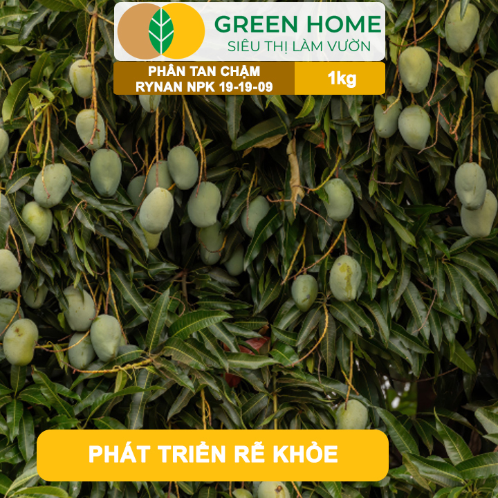 Phân Tan Chậm GreenHome, Rynan NPK 19-19-09, Túi 1kg, Giúp Cây Ăn Trái Phát Triển Mạnh, Chất Lượng