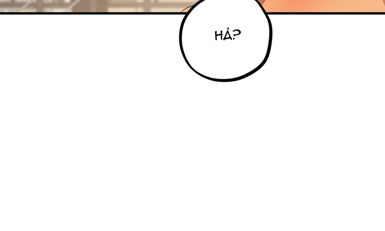 đàn thỏ của habibi chapter 25 94