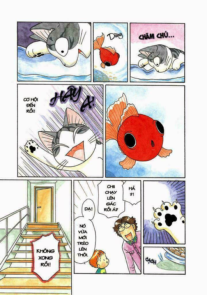 chi's sweet home chapter 117 7