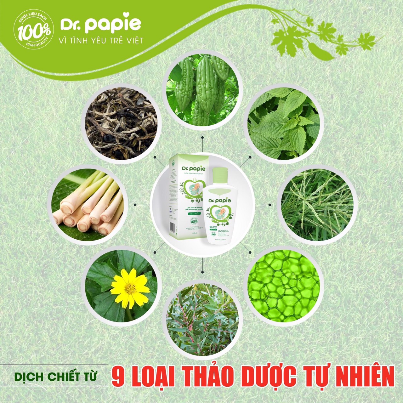 Nước Tắm Gội Thảo Dược Dr Papie