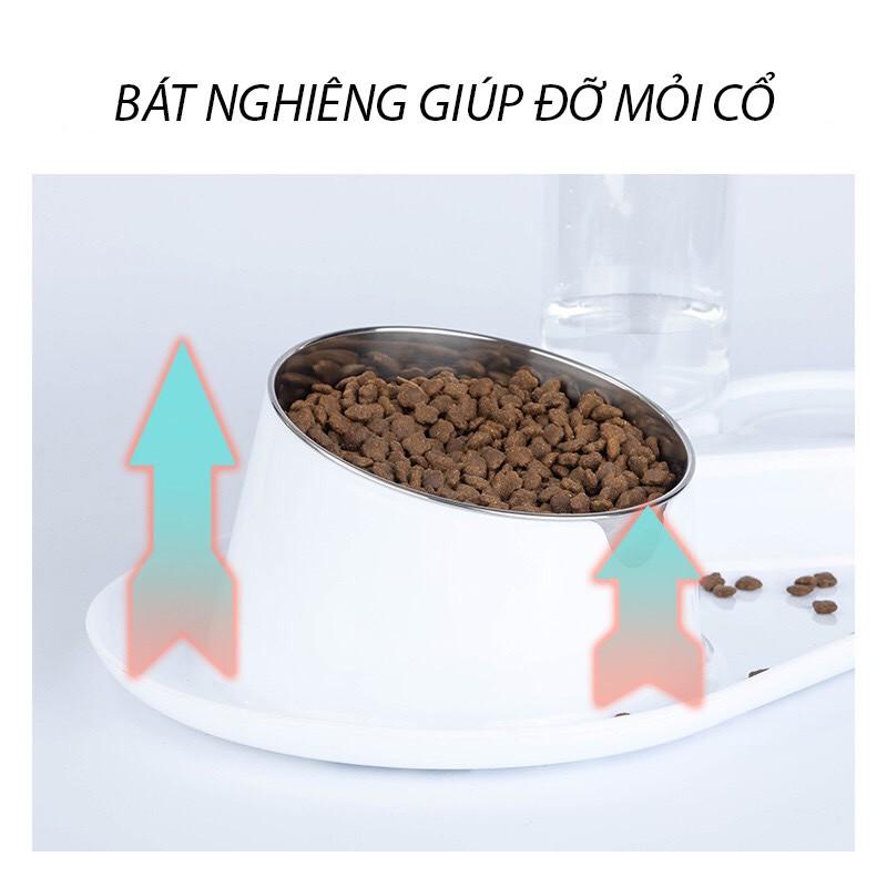 Bát ăn chó mèo tránh bẩn sàn nhà