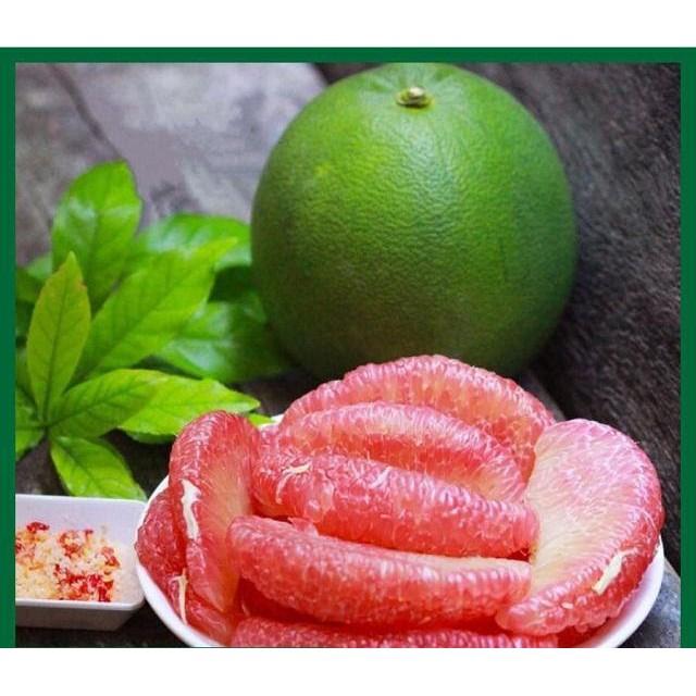 Cây giống Bưởi Da Xanh Ghép .