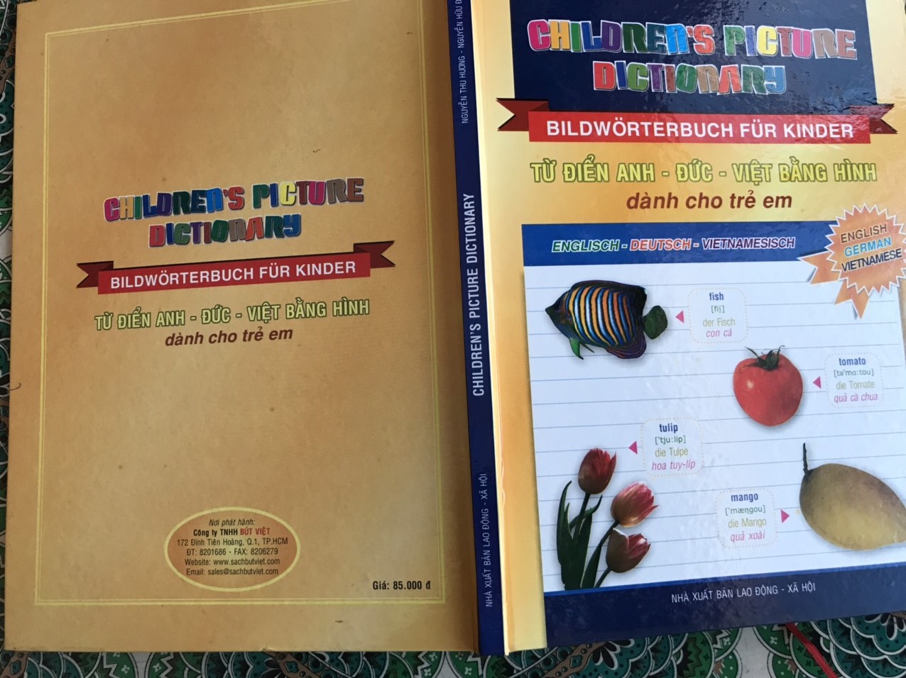Từ Điển Anh - Đức - Việt Bằng Hình Dành Cho Trẻ Em - Children's Picture Dictionary (English - German - Vietnamese) - Bildwörterbuch Für Kinder (Englisch - Deutsch - Vietnamesisch)