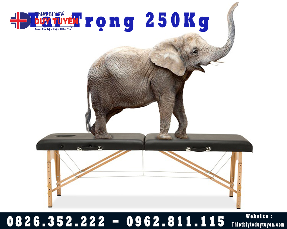 Giường Gấp Massage Chân Gỗ Sồi Chắc Chắn Tải Trọng 250Kg HL3