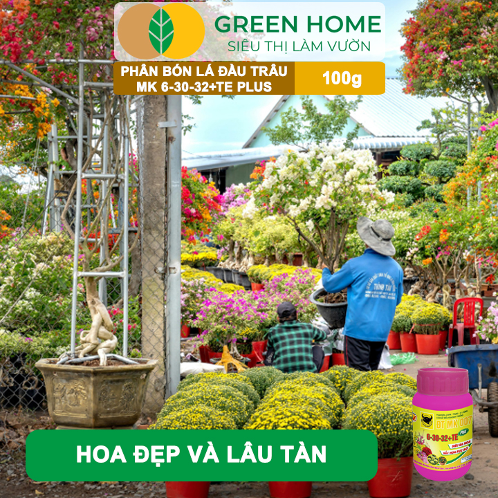 Phân Bón Lá Đầu Trâu 6-30-32 GreenHome, HŨ 100gr, MK 007, Siêu Ra Hoa Màu Rực Rỡ Chuyên Hoa Lan Hồng