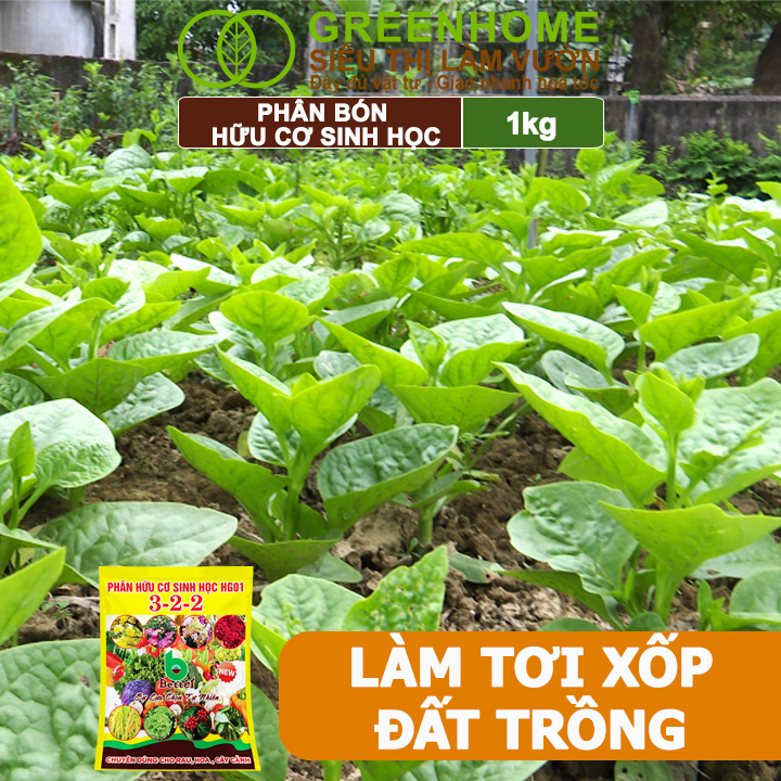 Phân Bón Hữu Cơ Greenhome, Better, Bao 1kg, Sinh Học Giúp Cây Khoẻ, Ổn Định, Sai Hoa, Đậu Trái
