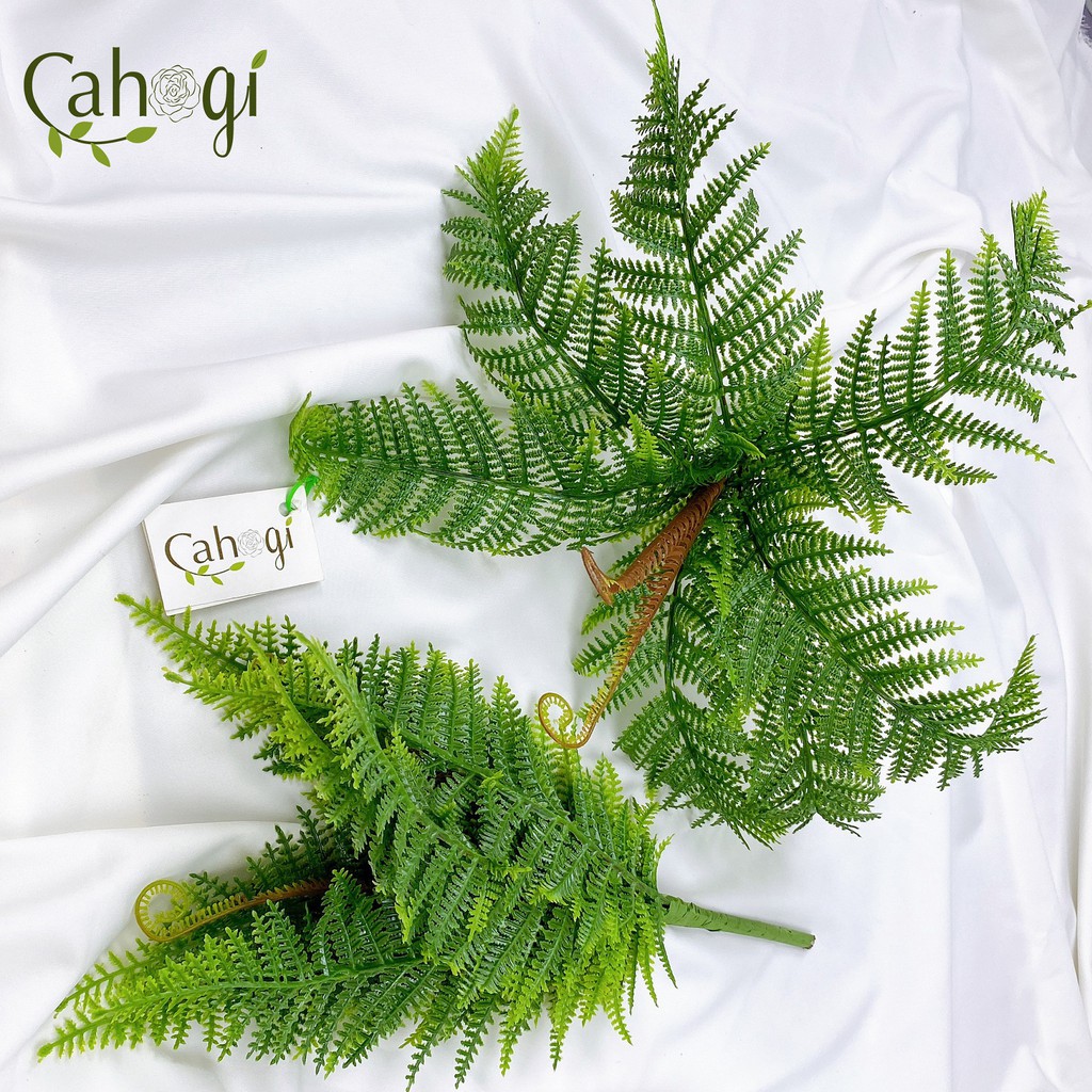 Cây dương xỉ giả giống thật 99% – Đường kính 45 cm – Cây vạn tuế giả, hoa lụa decor trang trí rẻ, bền, đẹp