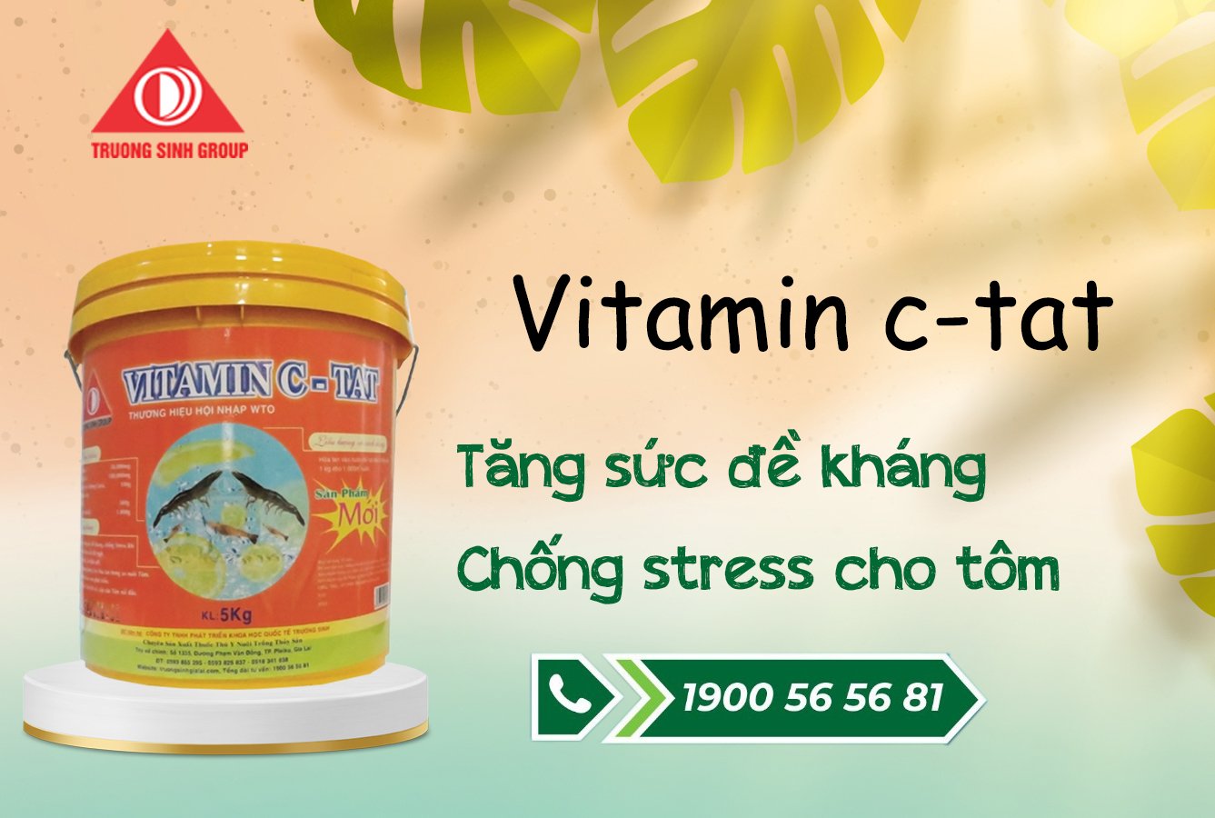 VITAMIN C-TAT