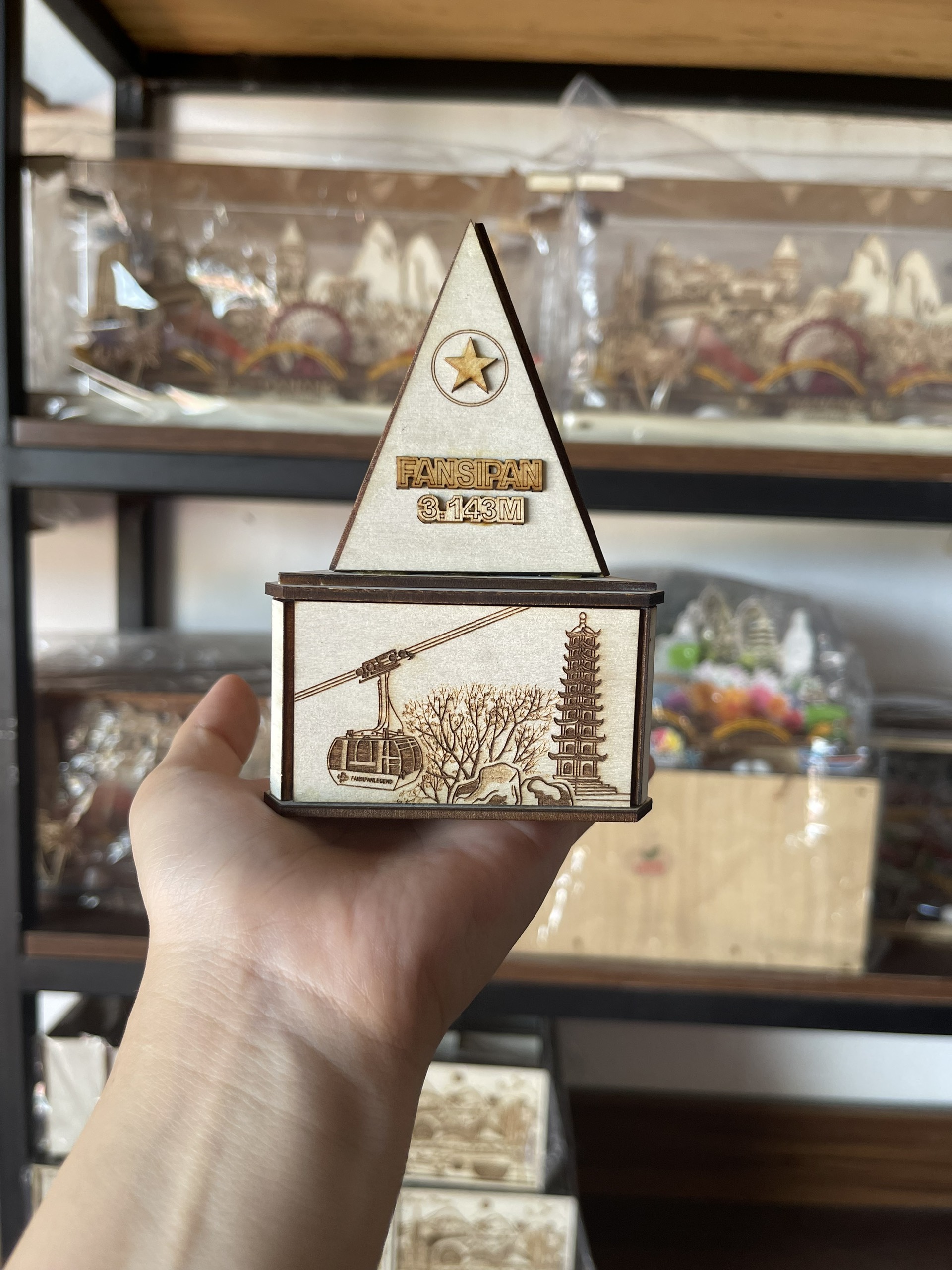 MÔ HÌNH FANSIPAN 3D