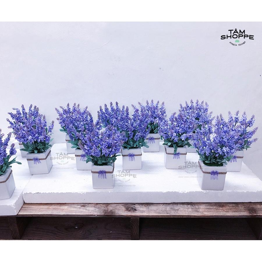 Chậu hoa Lavender gốm vuông No.53