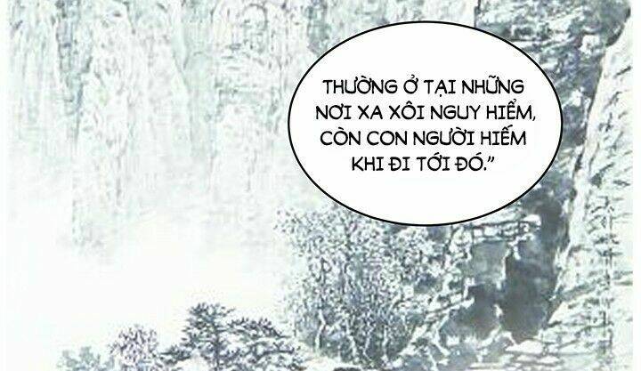 đô đốc đại nhân sủng thê kí chapter 19.2 12
