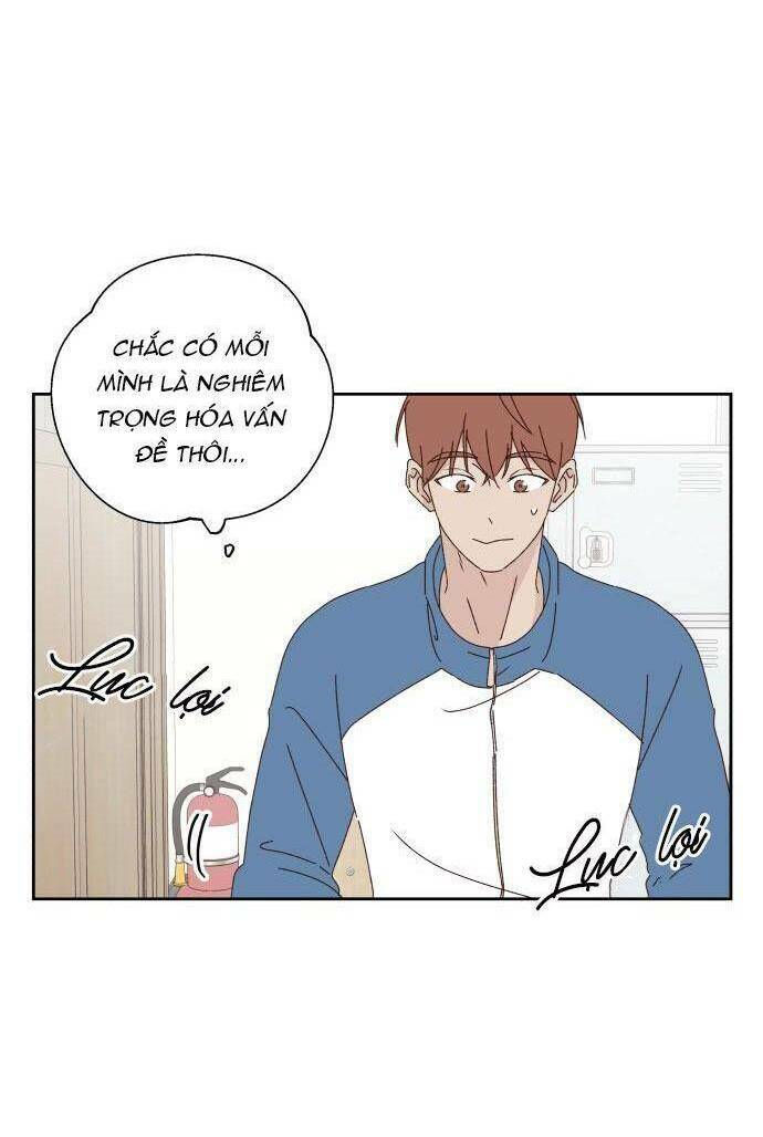 lén lút quện nhau chapter 12 55