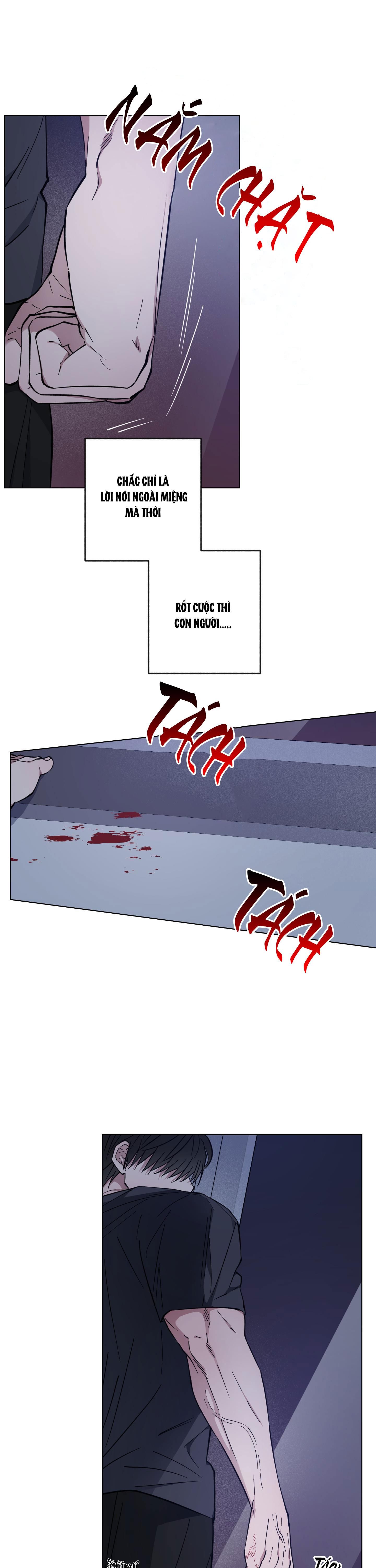 bình minh của rồng chapter 22 9