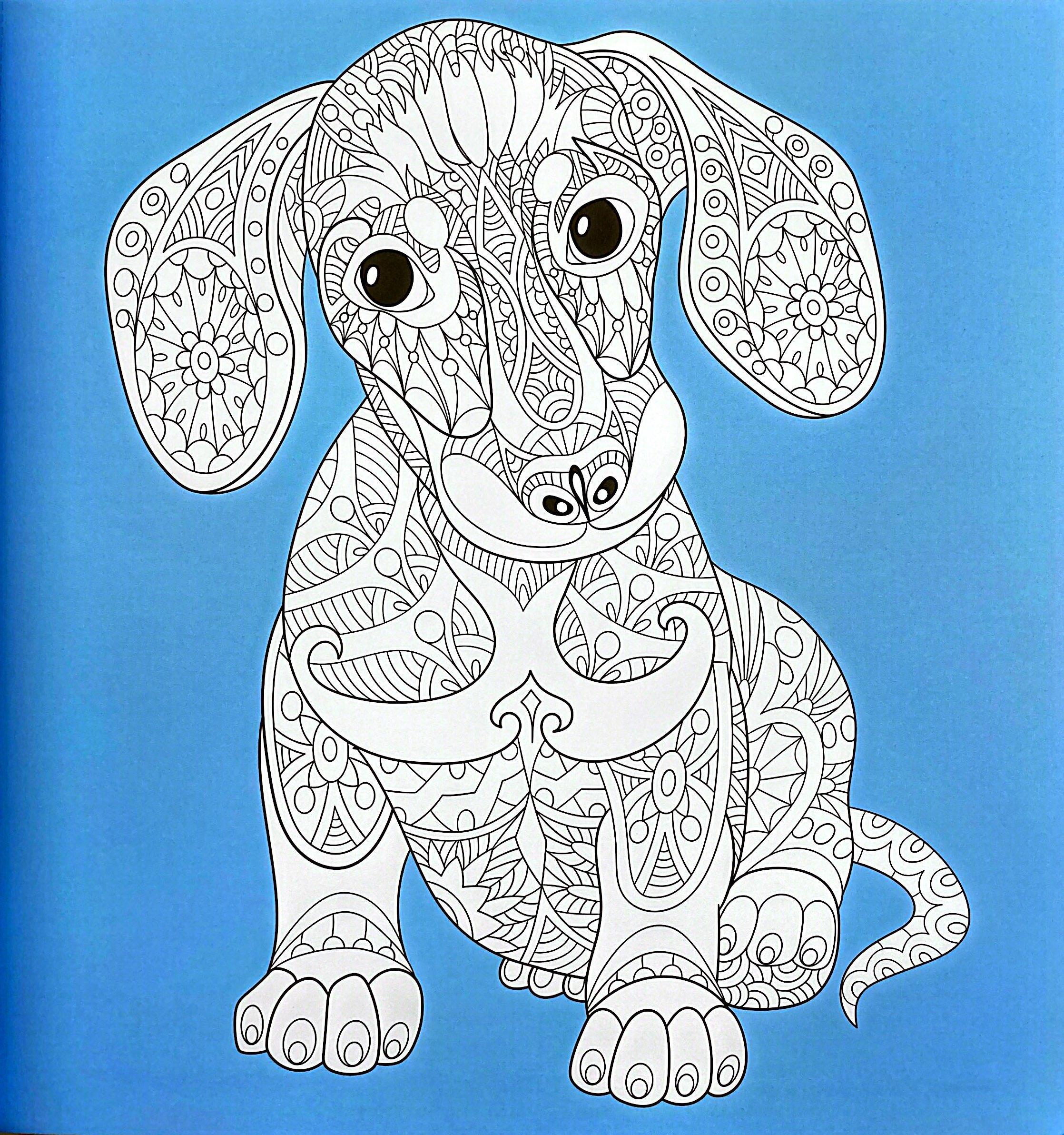 Sách ngoại văn: Kaleidoscope Colouring - Super Cute Animals