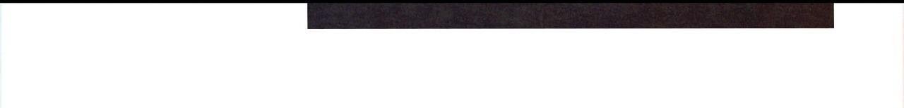 say tình [bl] chapter 83 111