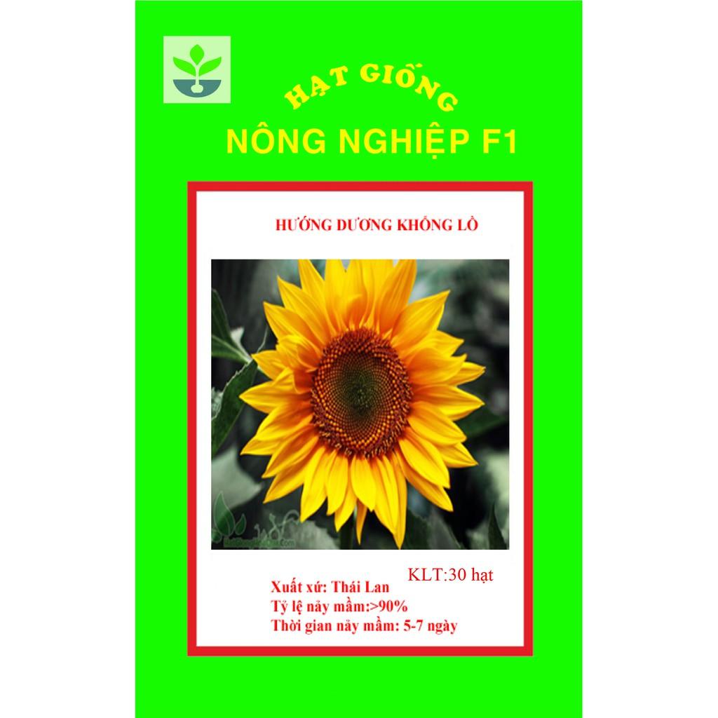 Gói 30 hạt giống hướng dương khổng lồ