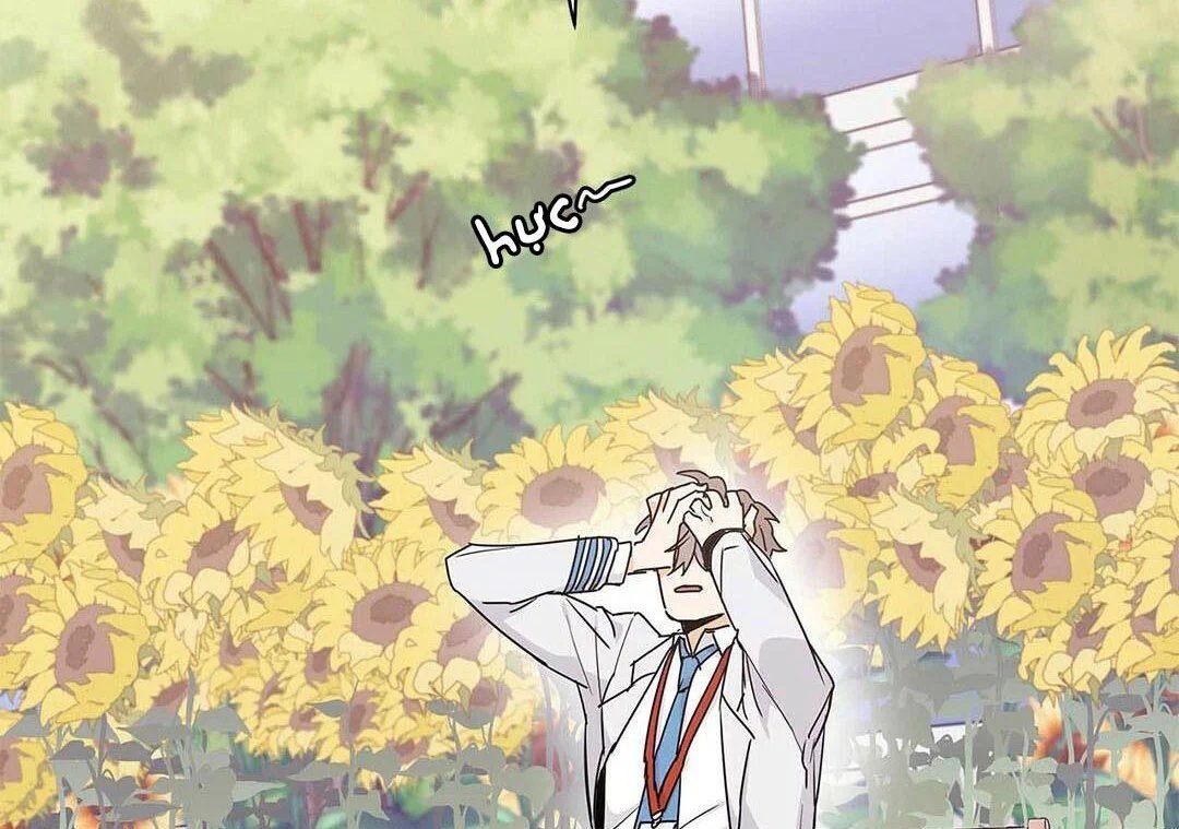 guide cấp b chapter 10 109