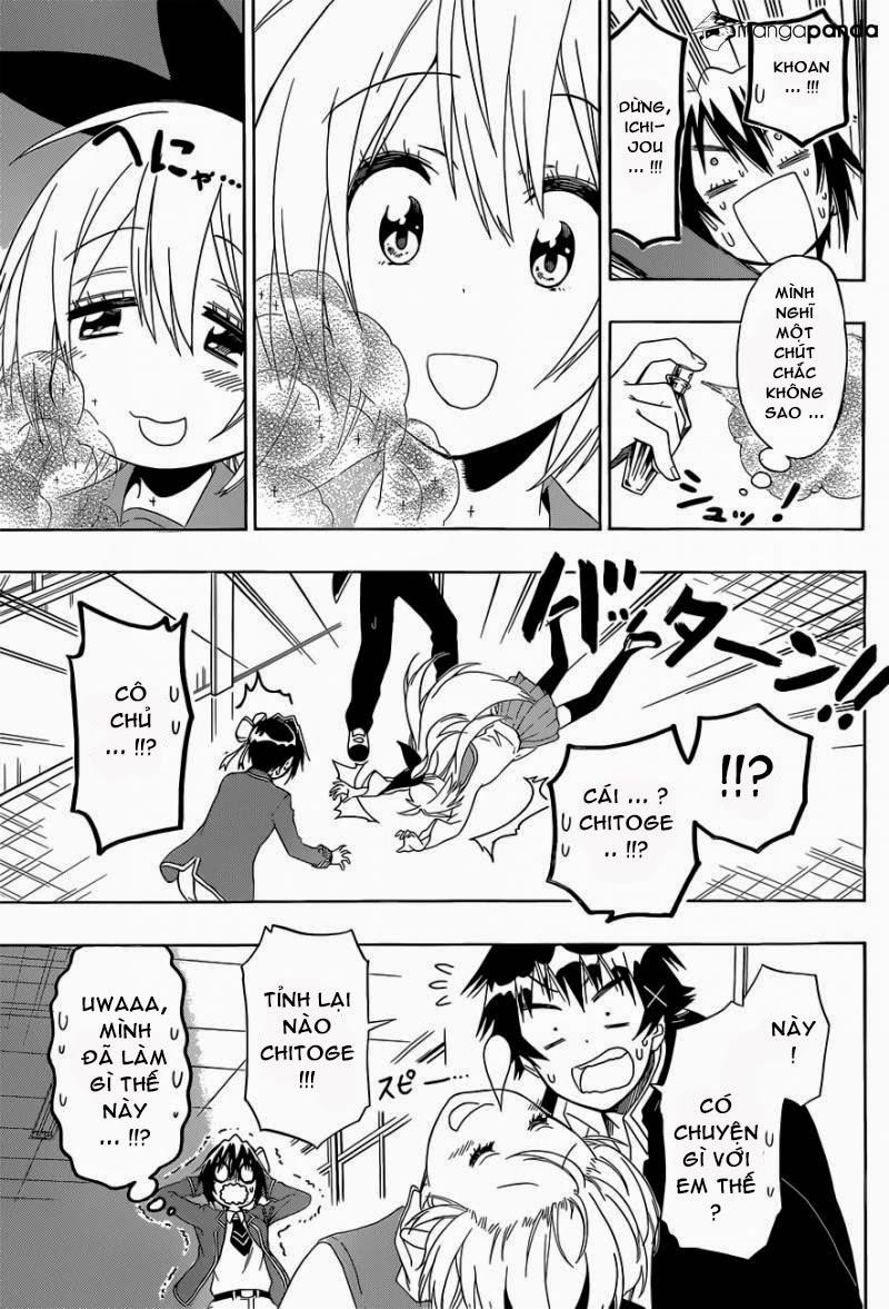 nisekoi - tình yêu giả tạo chapter 140 7