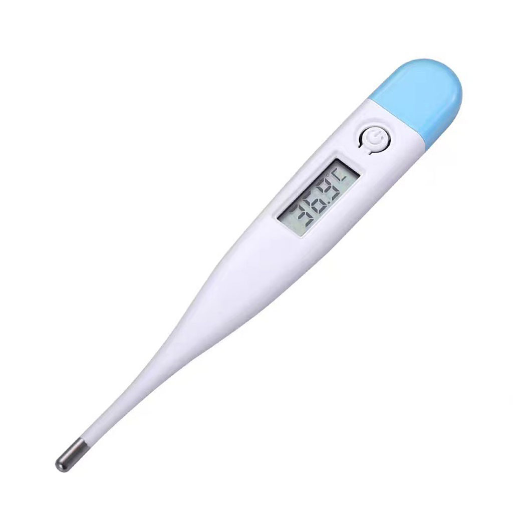 Nhiệt Kế Điện Tử Dạng Bút - hàng chính hãng