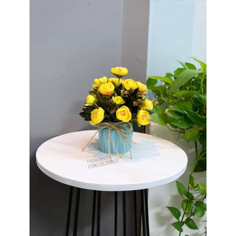 Chậu gốm sứ vân khía miệng nơ xinh xắn- tặng kèm nơ gai