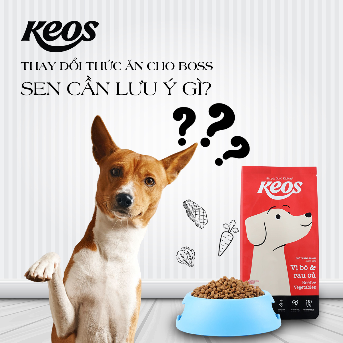20KG Thức Ăn Keos cho Chó Trưởng Thành – Vị Bò &amp; Rau Củ - Keos Adult Beef &amp; Vegetables