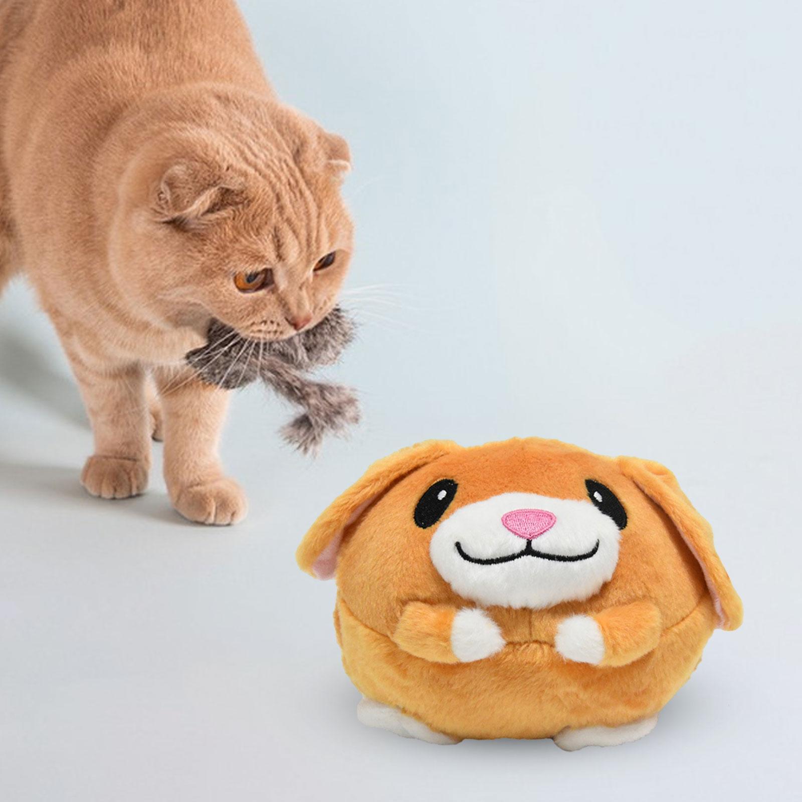 Interactive Cat Toy Training Cat Toys for Indoor Cats Exercise Entertainment