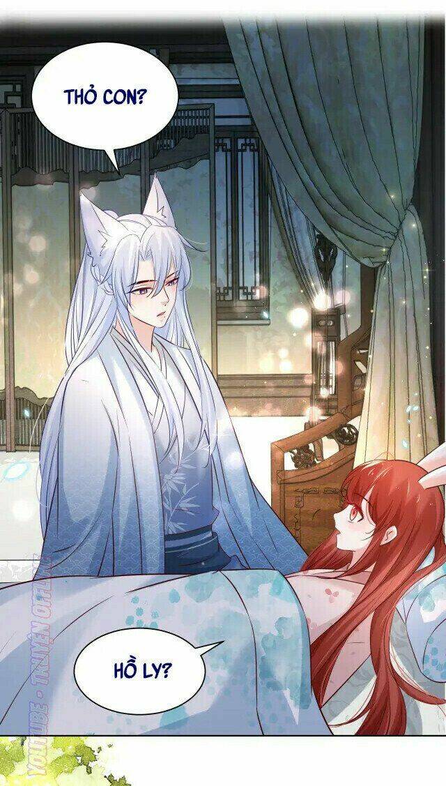 hắc hóa nam chính trực tuyến nuôi thỏ chapter 43 5