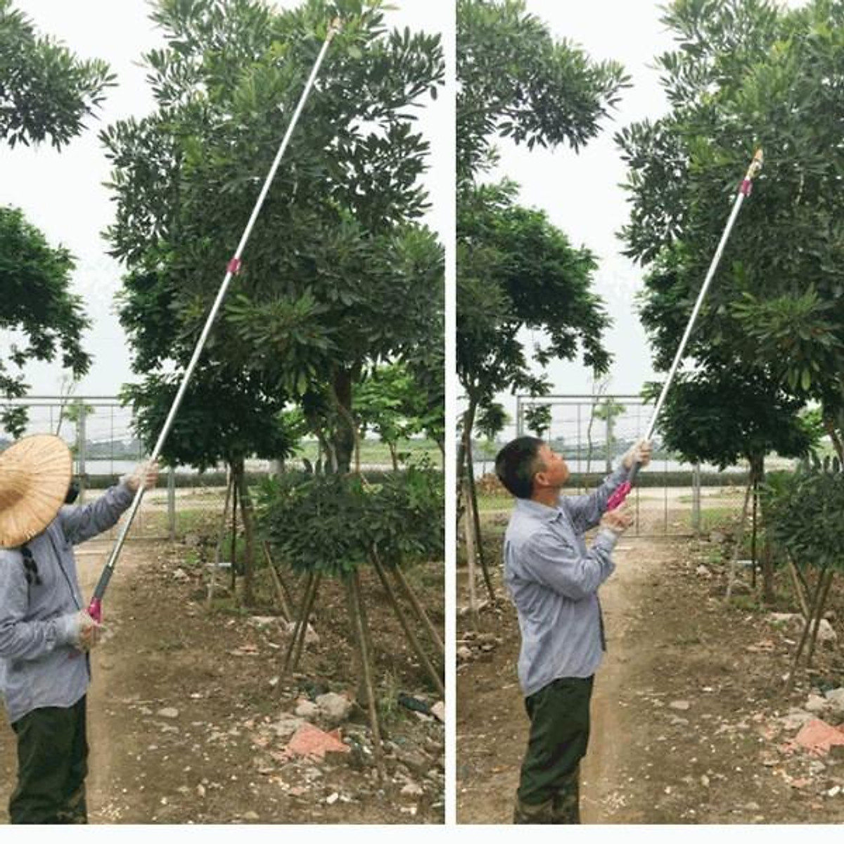Kéo hái quả - kèo cắt cành trên cao dài 3m- gậy hái hoa quả,kéo cắt quả trên cao dài 3m