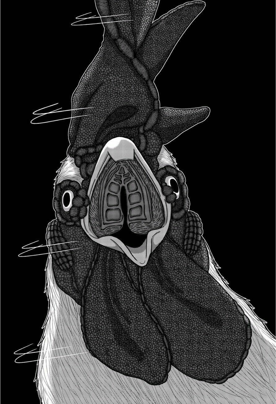 tiếng gáy sát thủ chapter 1 38