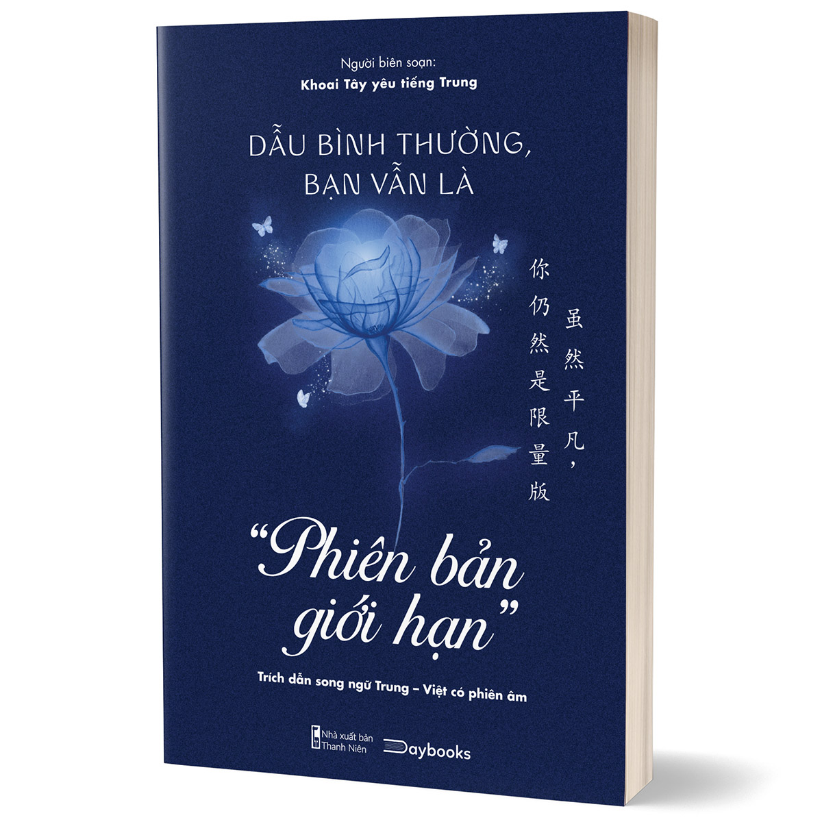 Hình ảnh Dẫu Bình Thường, Bạn Vẫn Là - Phiên Bản Giới Hạn