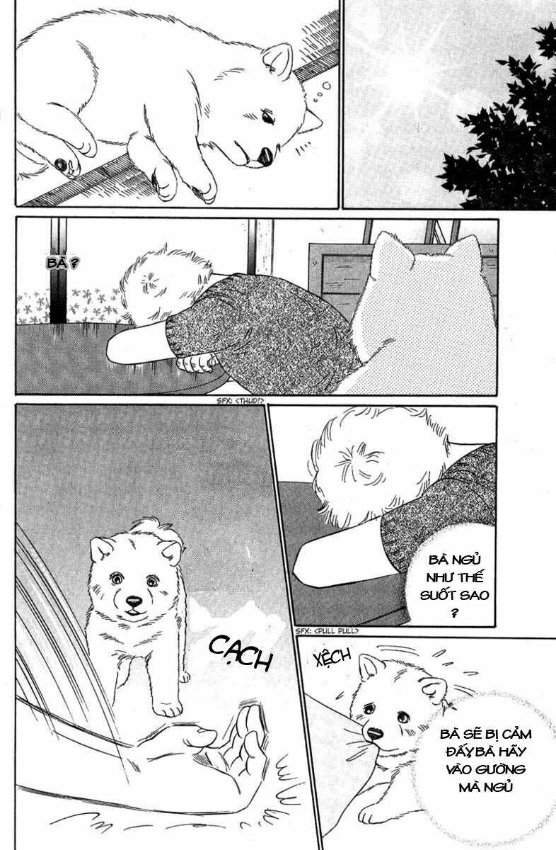 deep love - pao no monogatari chapter 8 31