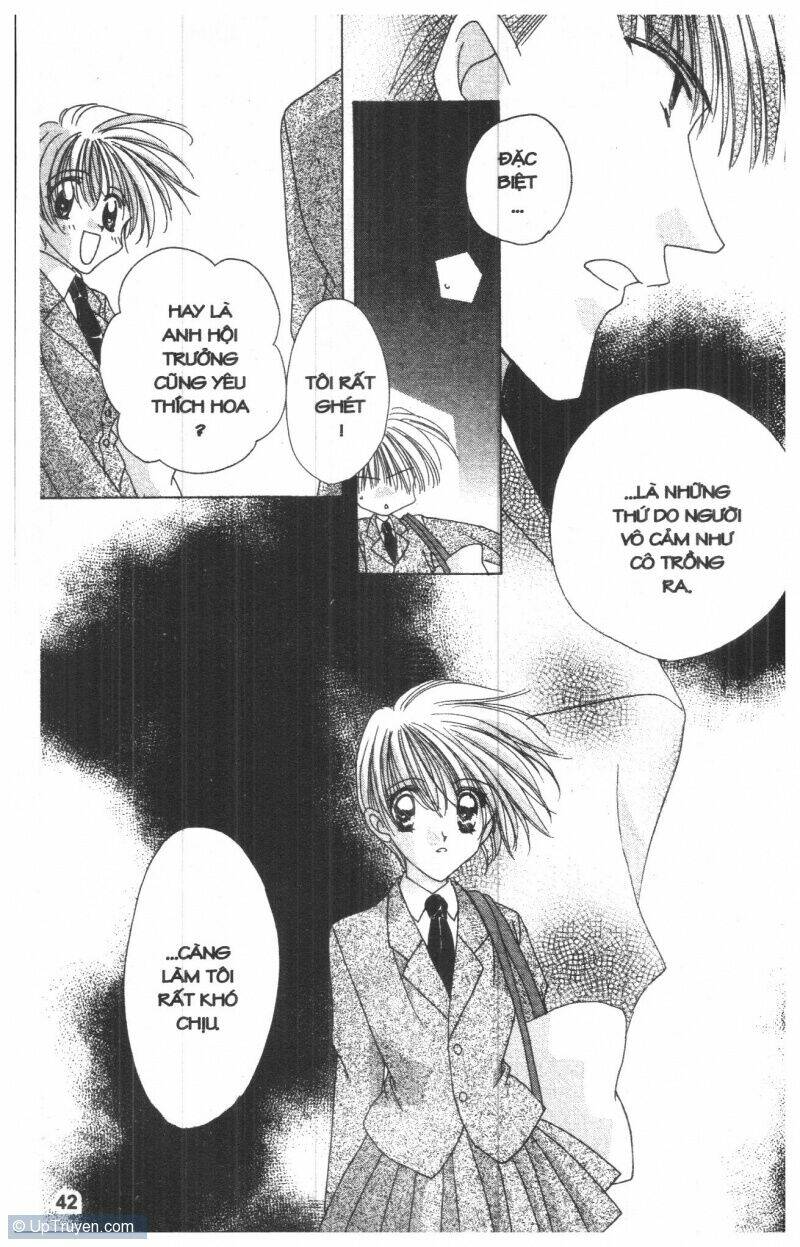 ohoshi-sama ni onegai! chapter 7 42