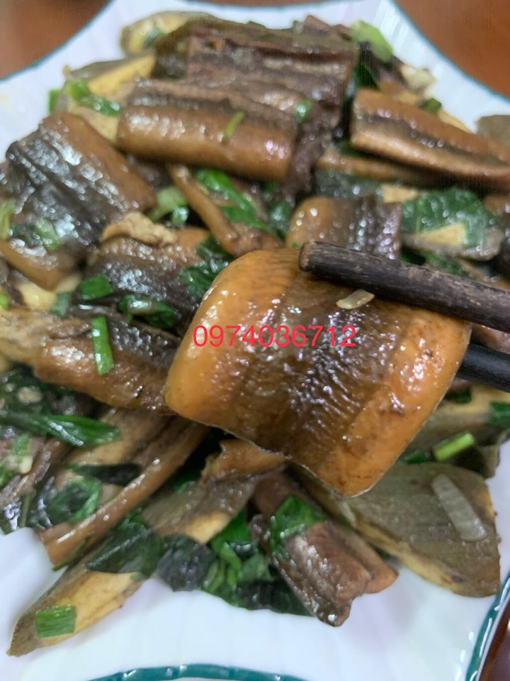 LƯƠN THỊT TƯƠI XỨ NGHỆ