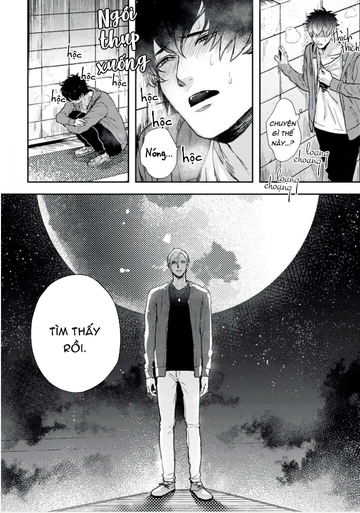 mật ngọt dã thú chapter 1 21