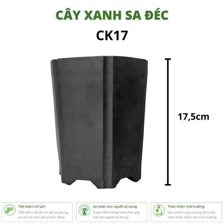 Chậu lục giác cao xẻ cạnh mini CK17 màu trơn sang trọng và tối giản